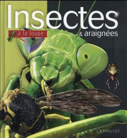 Bertrand.pt - Les Insectes Et Araignees Np