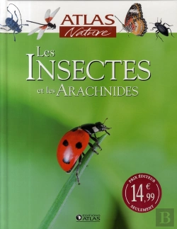 Bertrand.pt - Les Insectes Et Les Archnidés