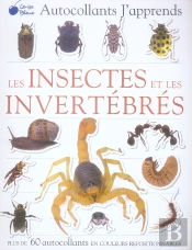 Les Insectes Et Les Invertébrés