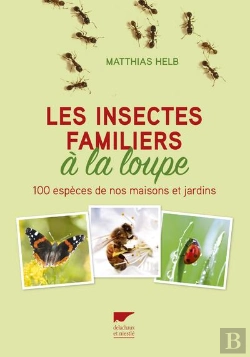 Bertrand.pt - Les Insectes Familiers À La Loupe