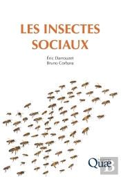 Les Insectes Sociaux