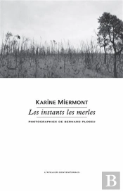 Les Instants Les Merles
