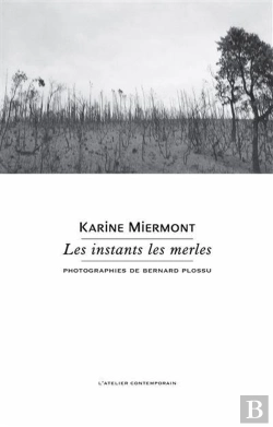 Bertrand.pt - Les Instants Les Merles