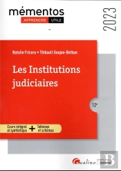 Les Institutions Judiciaires : Les Principes Fondamentaux De La Justice ; Les Organes De La Justice ; Les Acteurs De La Justice (Édition 2023)