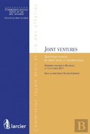 Les Joint Ventures