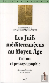 Les Juifs Méditerranéens Au Moyen-Âge ; Culture Et Prosopographie