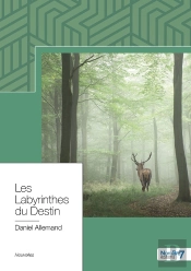 Les Labyrinthes Du Destin