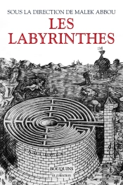 Les Labyrinthes : Vingt Mille Ans De Métamorphoses