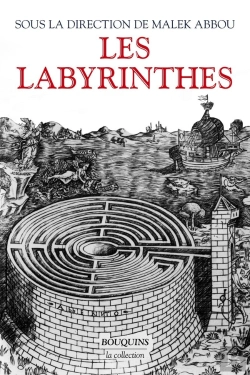 Bertrand.pt - Les Labyrinthes : Vingt Mille Ans De Métamorphoses