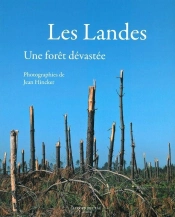 Les Landes ; Une Forêt Dévastée