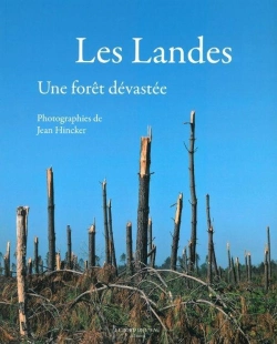 Bertrand.pt - Les Landes ; Une Forêt Dévastée