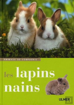Bertrand.pt - Les Lapins Nains