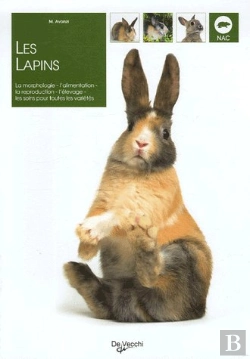 Bertrand.pt - Les Lapins