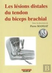 Les Lésions Distales Du Tendron Du Biceps Brachial