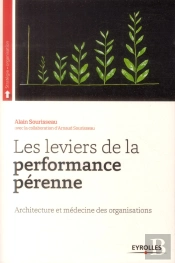 Les Leviers De La Performance Pérenne ; Architecture Et Médecine Des Organisations