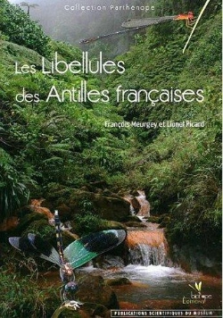 Bertrand.pt - Les Libellules Des Antilles Françaises