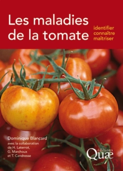 Bertrand.pt - Les Maladies De La Tomate