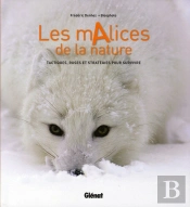 Les Malices De La Nature ; Tactiques, Ruses Et Stratégies Pour Survivre