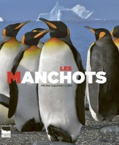 Les Manchots