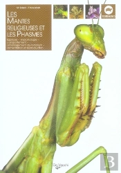 Les Mantes Religieuses Et Les Phasmes