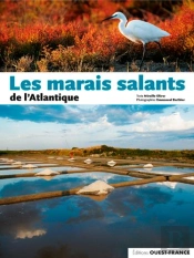 Les Marais Salants De L'Atlantique