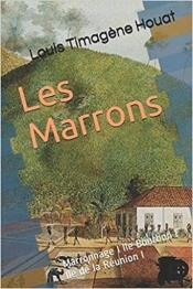 Les Marrons - Marronnage I Ile Bourbon I Ile De La Reunion I