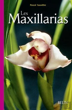 Bertrand.pt - Les Maxillarias