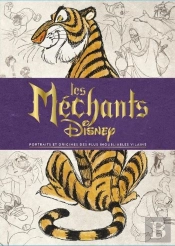 Les Méchants Disney ; Portraits Et Origines Des Plus Inoubliables Vilains