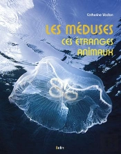 Les Méduses ; D'Étranges Animaux