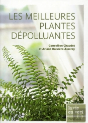 Les Meilleures Plantes Dépolluantes