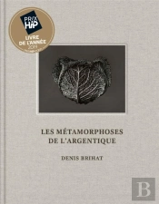 Les Metamorphoses De L'Argentique
