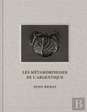 Les Métamorphoses De L'Argentique
