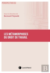 Les Métamorphoses Du Droit Du Travail