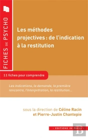 Les Méthodes Projectives : De L'Indication À La Restitution