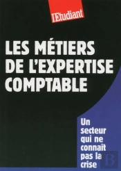 Les Metiers De L'Expertise Comptable