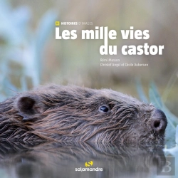 Bertrand.pt - Les Mille Vies Du Castor