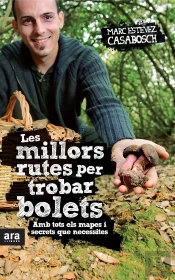 Les Millors Rutes Per Trobar Bolets