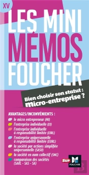 Les Mini Mémos Foucher : Micro-Entreprise Revision ; Quel Statut Pour Mon Entreprise ?