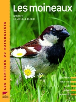 Bertrand.pt - Les Moineaux