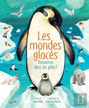 Les Mondes Glacés : Bienvenue Dans Les Pôles