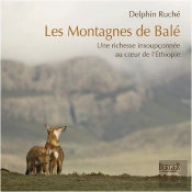 Les Montagnes De Balé ; Une Richesse Insoupçonnée Au Coeur De L'Ethiopie