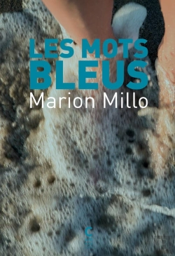 Bertrand.pt - Les Mots Bleus