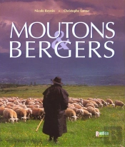 Les Moutons Et Les Bergers