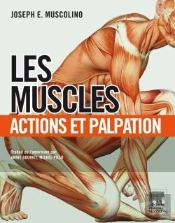 Les Muscles ; Actions Et Palpation