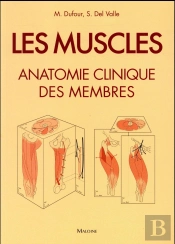 Les Muscles ; Anatomie Clinique Des Membres