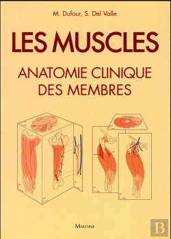Bertrand.pt - Les Muscles ; Anatomie Clinique Des Membres