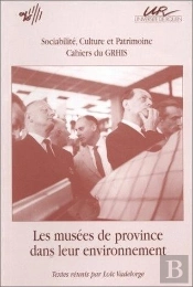 Les Musees De Province Dans Leur Environnement