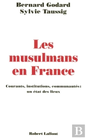 Les Musulmans En France ; Courants, Institutions, Communautés: Un État Des Lieux