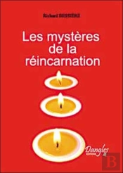 Les Mysteres De La Reincarnation ; La Vie Apres La Vie, De L'Antiquite A Nos Jours