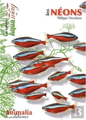 Les Néons